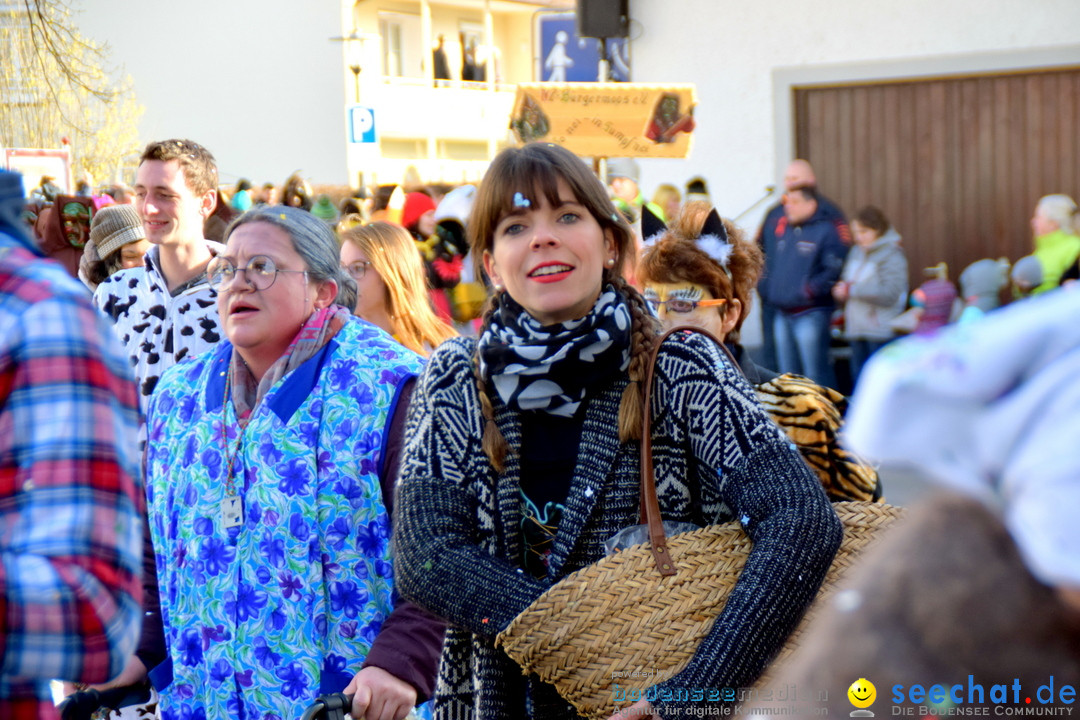 Grosser Narrensprung: Langenargen am Bodensee, 19.01.2020