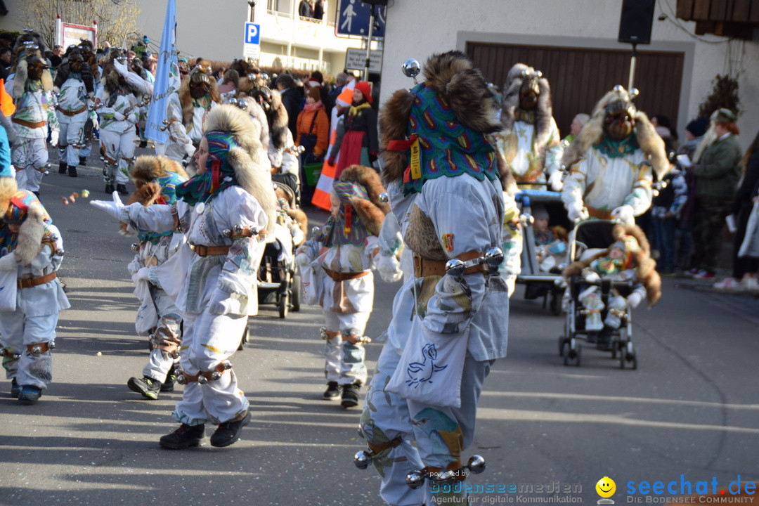 Grosser Narrensprung: Langenargen am Bodensee, 19.01.2020