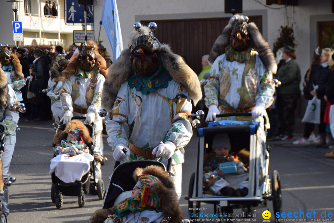 Grosser Narrensprung: Langenargen am Bodensee, 19.01.2020