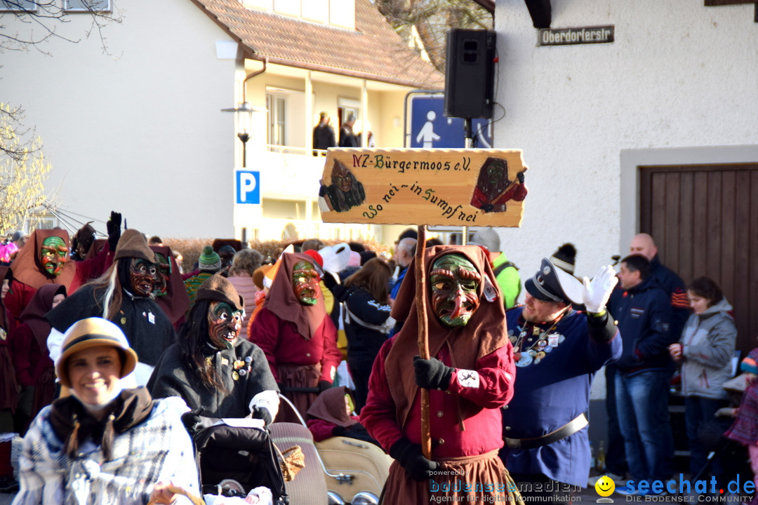 Grosser Narrensprung: Langenargen am Bodensee, 19.01.2020