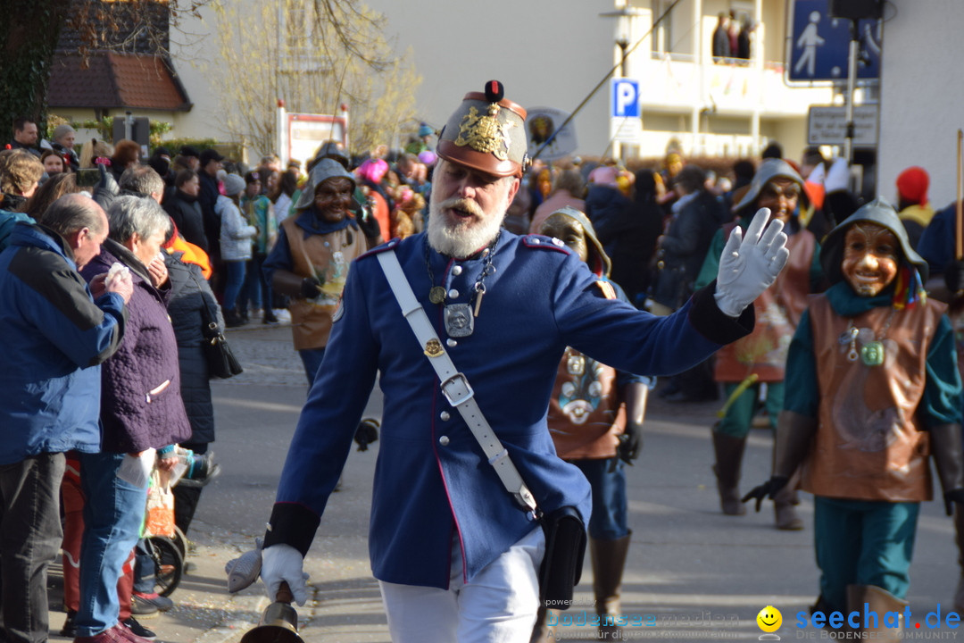 Grosser Narrensprung: Langenargen am Bodensee, 19.01.2020