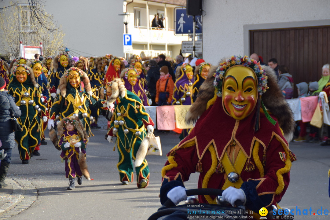 Grosser Narrensprung: Langenargen am Bodensee, 19.01.2020