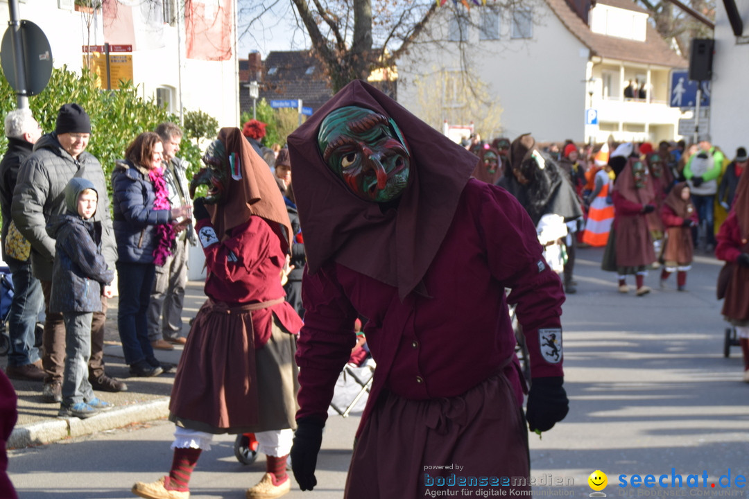 Grosser Narrensprung: Langenargen am Bodensee, 19.01.2020