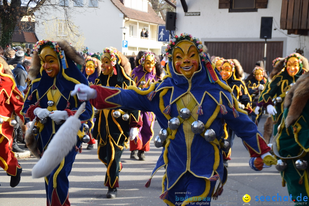 Grosser Narrensprung: Langenargen am Bodensee, 19.01.2020