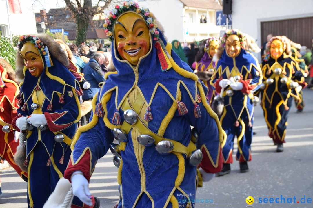 Grosser Narrensprung: Langenargen am Bodensee, 19.01.2020