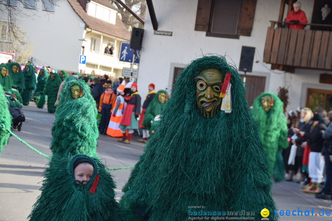 Grosser Narrensprung: Langenargen am Bodensee, 19.01.2020