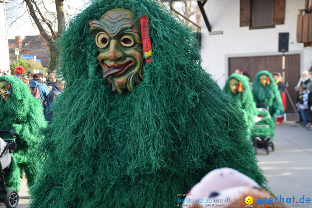 Grosser Narrensprung: Langenargen am Bodensee, 19.01.2020