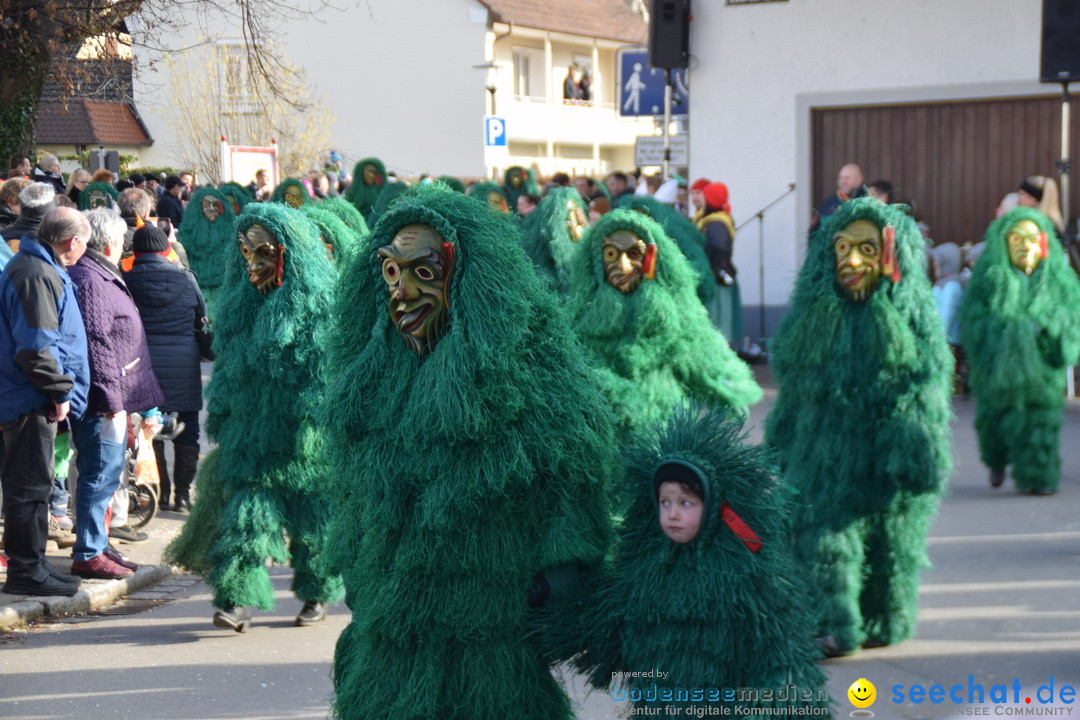 Grosser Narrensprung: Langenargen am Bodensee, 19.01.2020