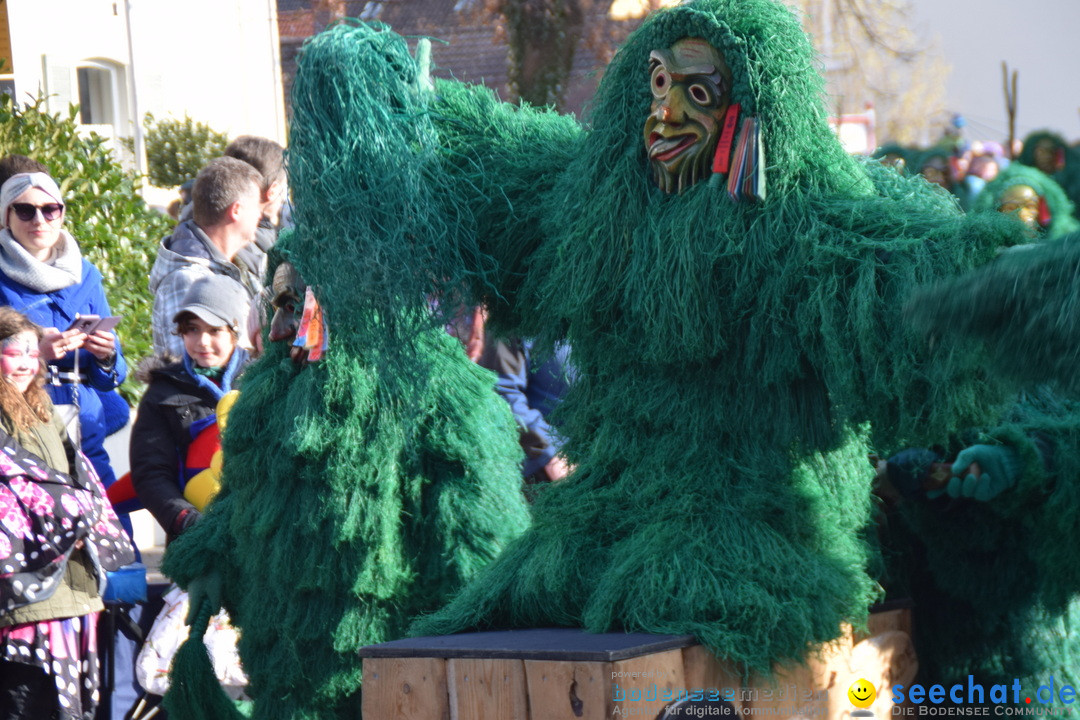 Grosser Narrensprung: Langenargen am Bodensee, 19.01.2020