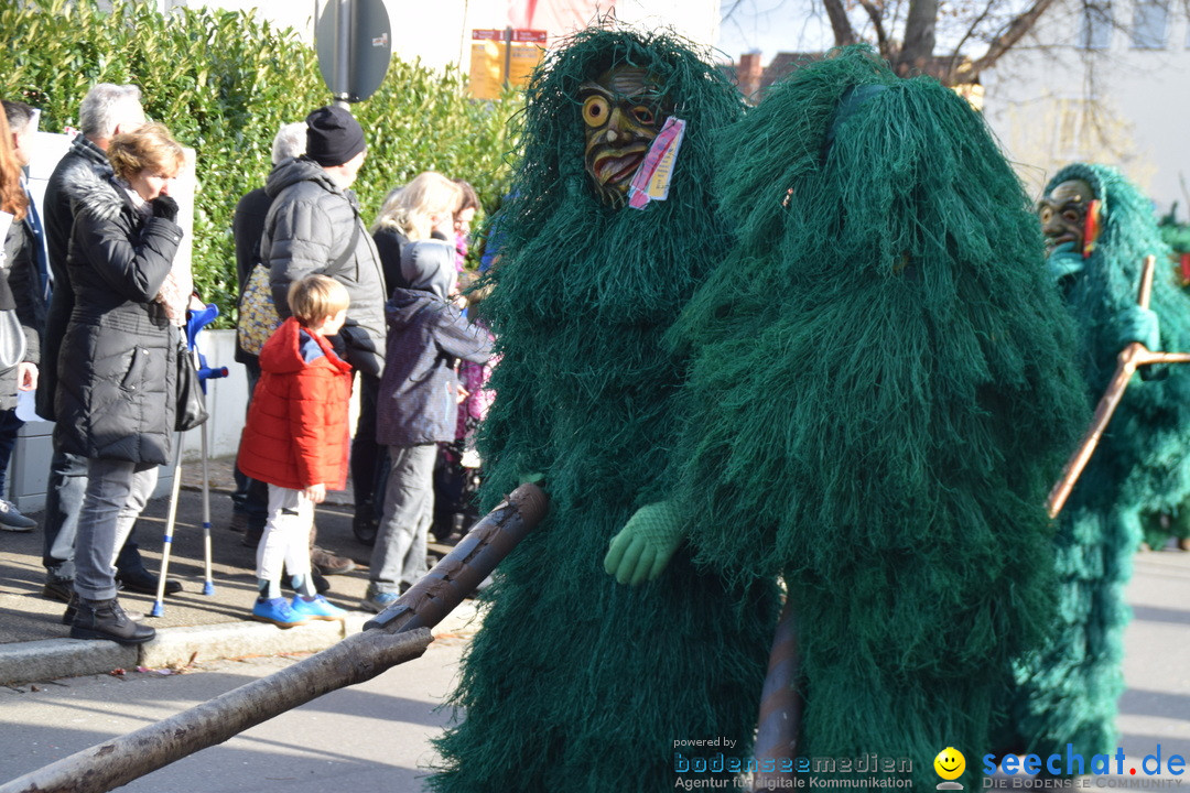 Grosser Narrensprung: Langenargen am Bodensee, 19.01.2020