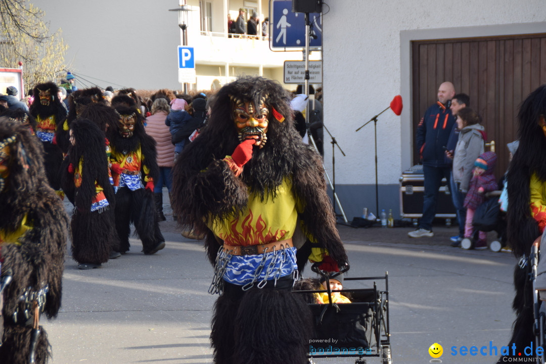 Grosser Narrensprung: Langenargen am Bodensee, 19.01.2020