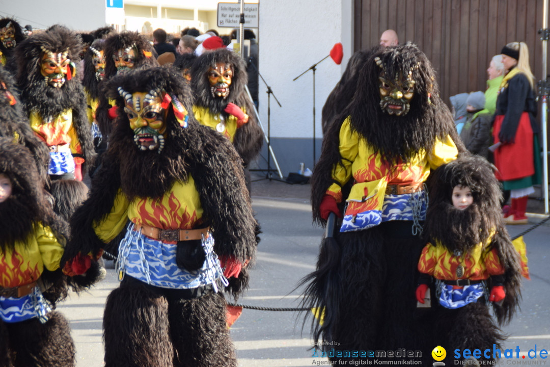 Grosser Narrensprung: Langenargen am Bodensee, 19.01.2020