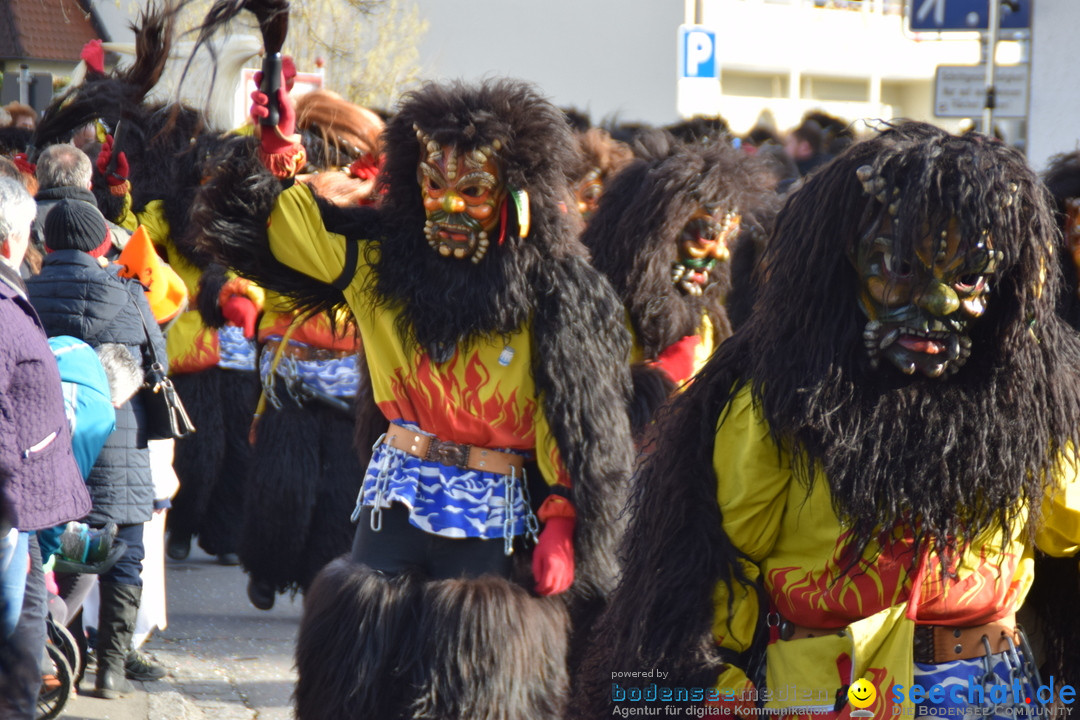 Grosser Narrensprung: Langenargen am Bodensee, 19.01.2020