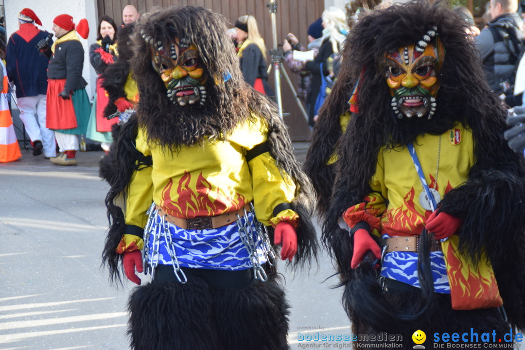 Grosser Narrensprung: Langenargen am Bodensee, 19.01.2020