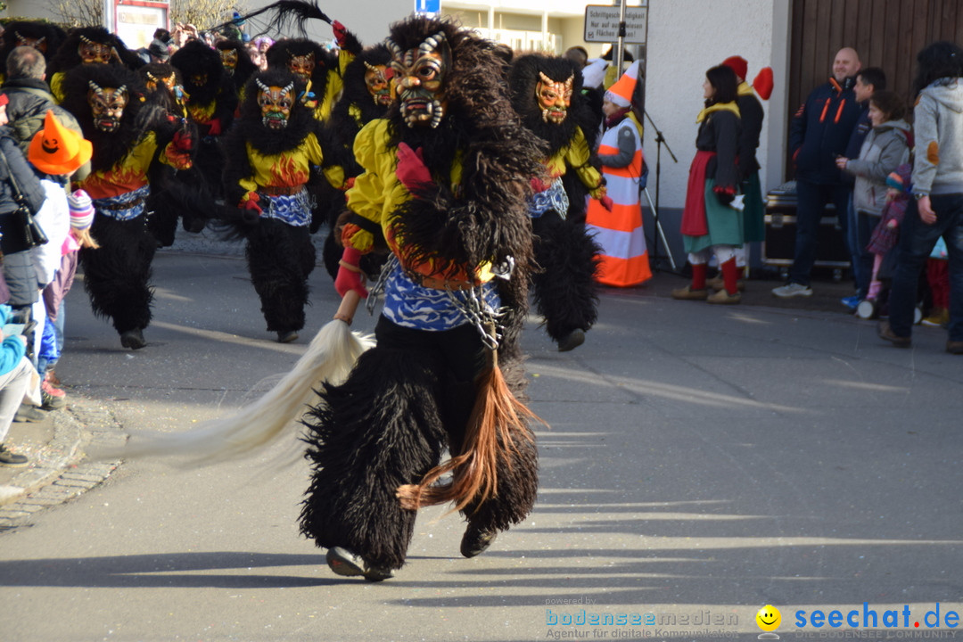 Grosser Narrensprung: Langenargen am Bodensee, 19.01.2020