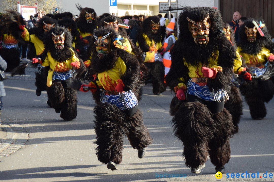 Grosser Narrensprung: Langenargen am Bodensee, 19.01.2020