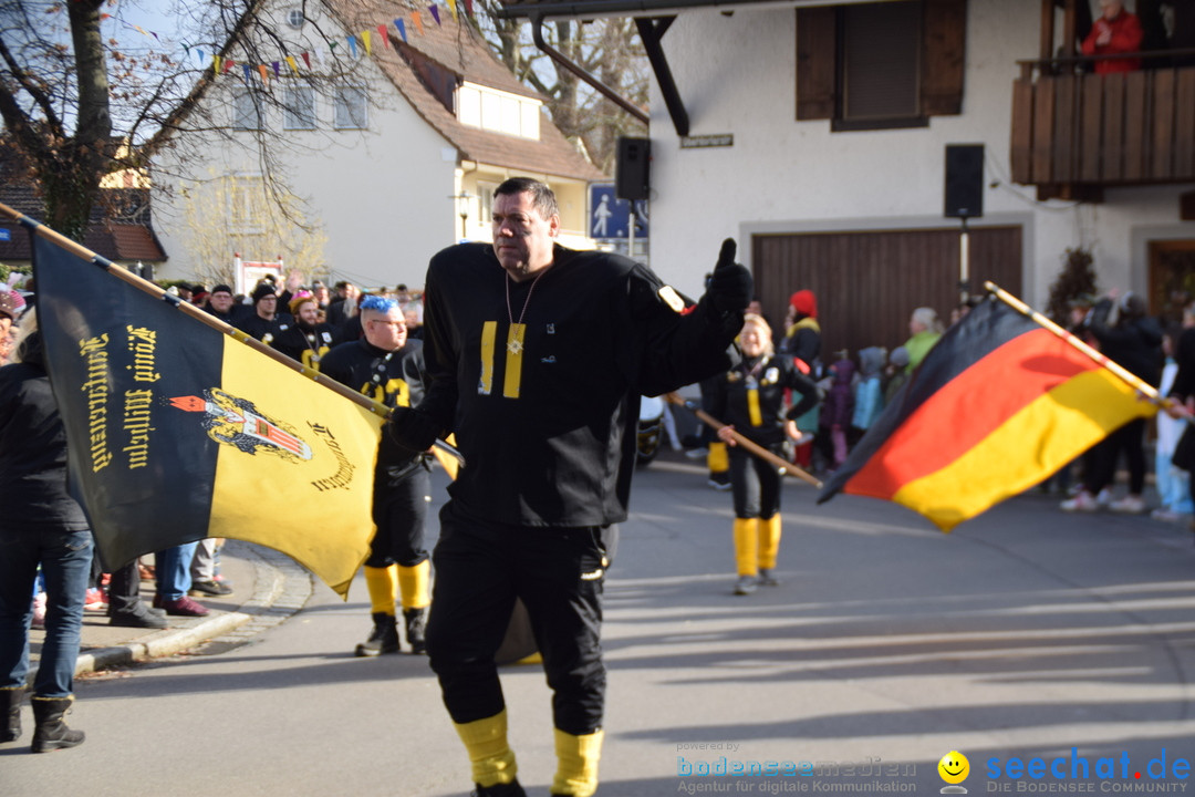 Grosser Narrensprung: Langenargen am Bodensee, 19.01.2020