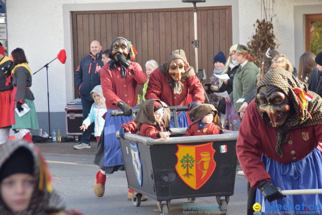 Grosser Narrensprung: Langenargen am Bodensee, 19.01.2020