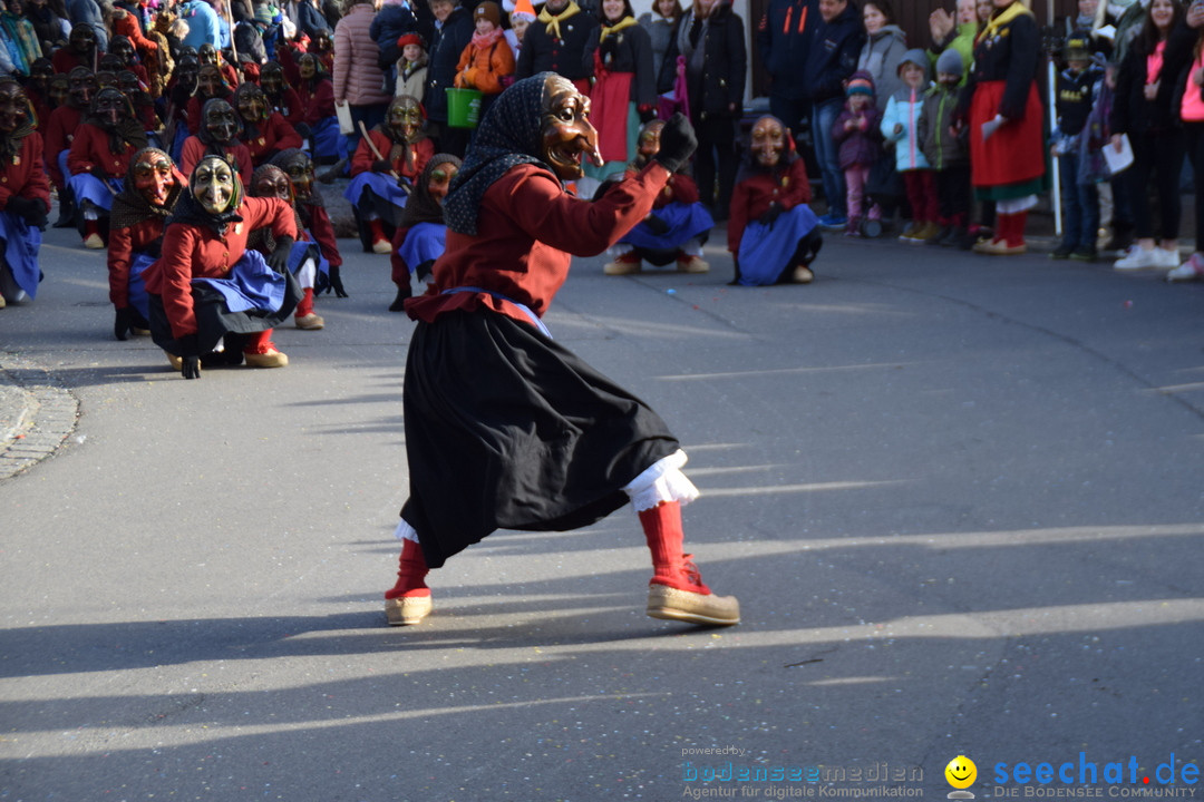 Grosser Narrensprung: Langenargen am Bodensee, 19.01.2020