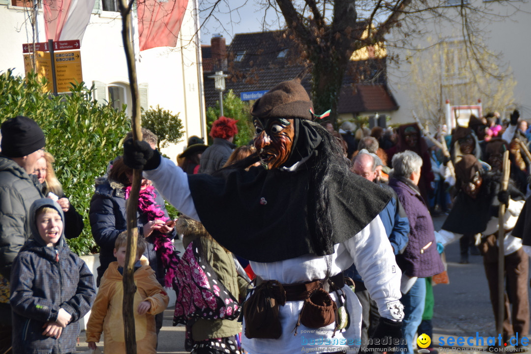 Grosser Narrensprung: Langenargen am Bodensee, 19.01.2020