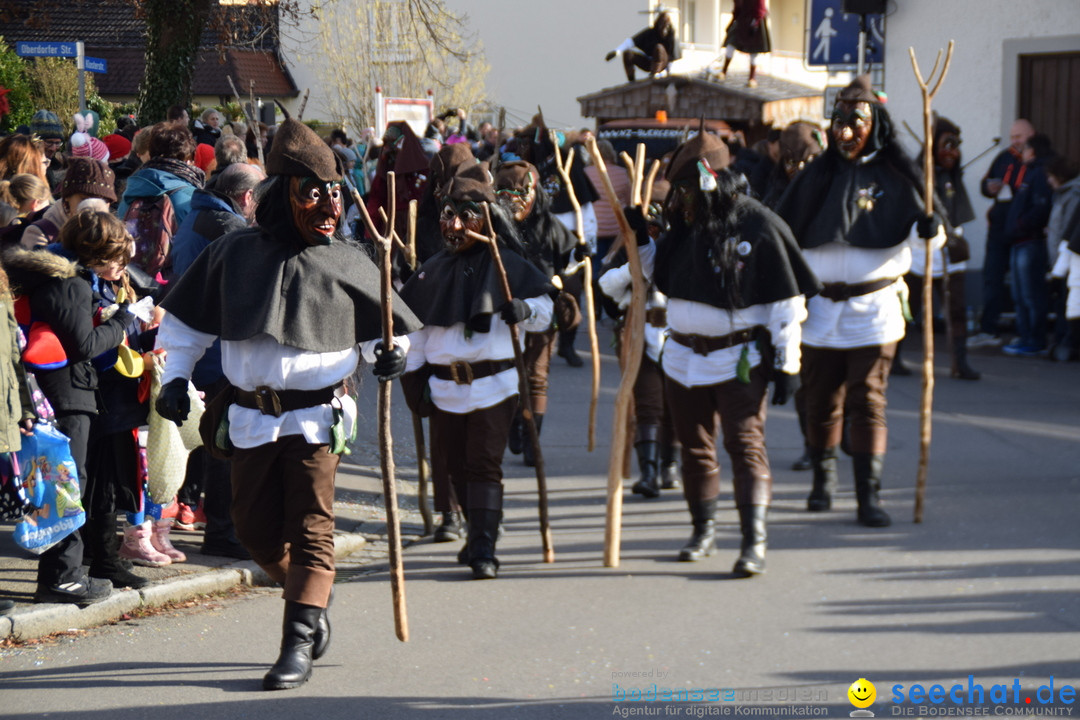 Grosser Narrensprung: Langenargen am Bodensee, 19.01.2020