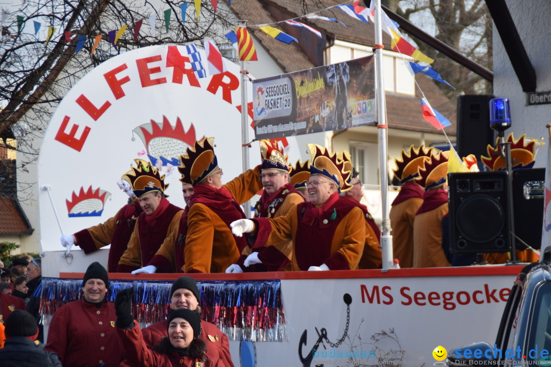 Grosser Narrensprung: Langenargen am Bodensee, 19.01.2020