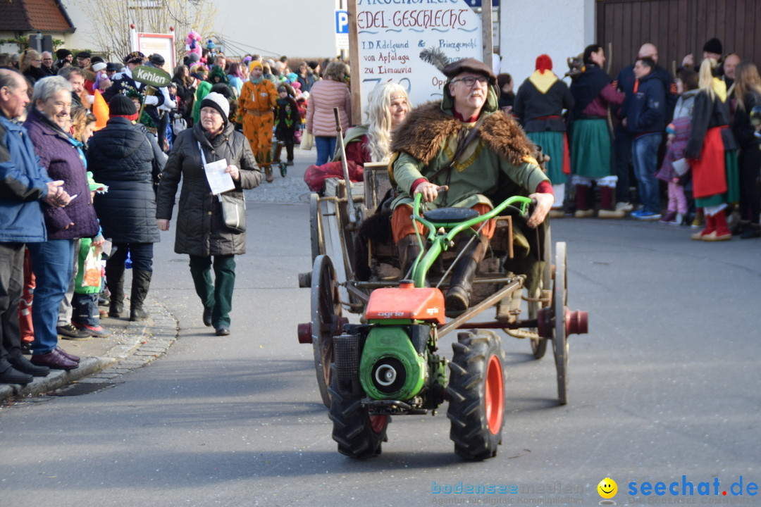 Grosser Narrensprung: Langenargen am Bodensee, 19.01.2020