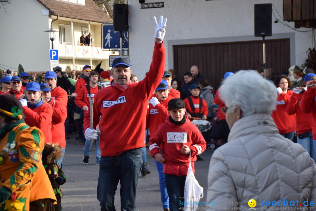 Grosser Narrensprung: Langenargen am Bodensee, 19.01.2020