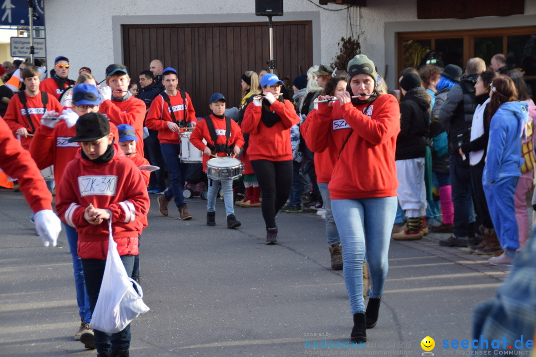 Grosser Narrensprung: Langenargen am Bodensee, 19.01.2020