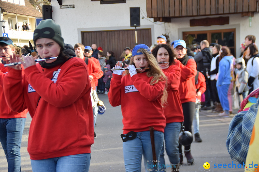 Grosser Narrensprung: Langenargen am Bodensee, 19.01.2020