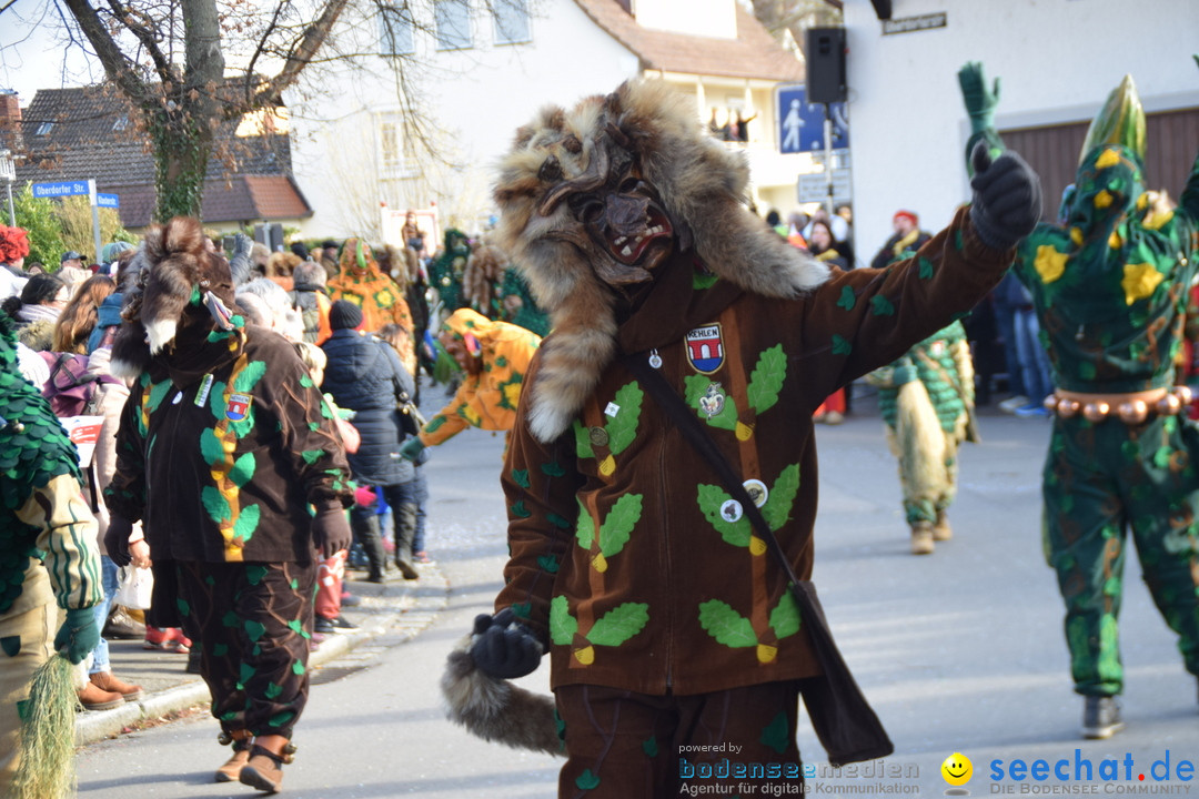 Grosser Narrensprung: Langenargen am Bodensee, 19.01.2020