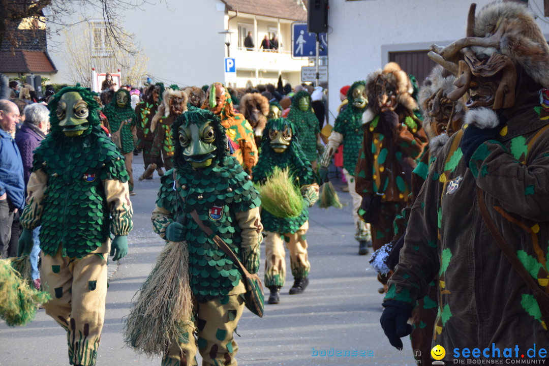 Grosser Narrensprung: Langenargen am Bodensee, 19.01.2020