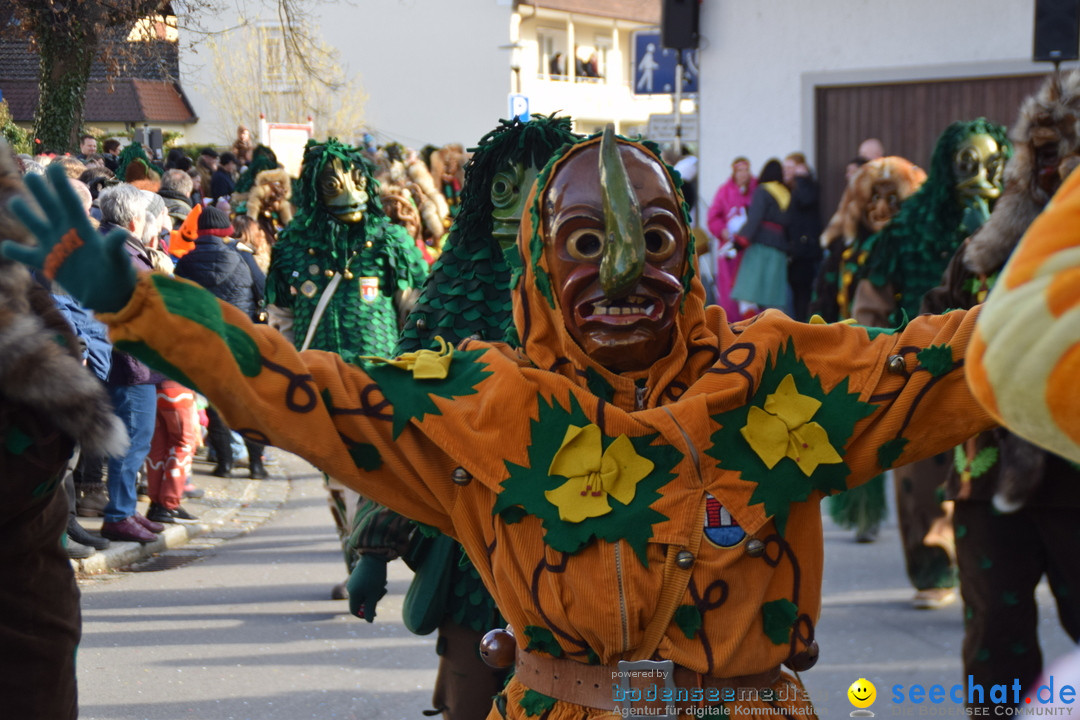 Grosser Narrensprung: Langenargen am Bodensee, 19.01.2020