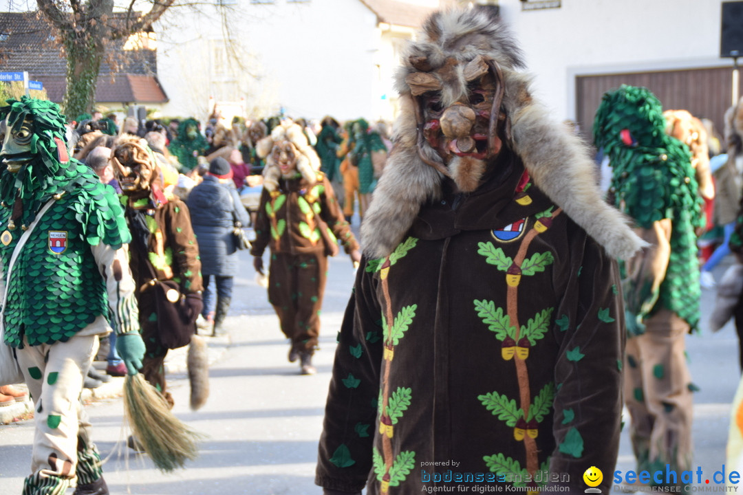 Grosser Narrensprung: Langenargen am Bodensee, 19.01.2020