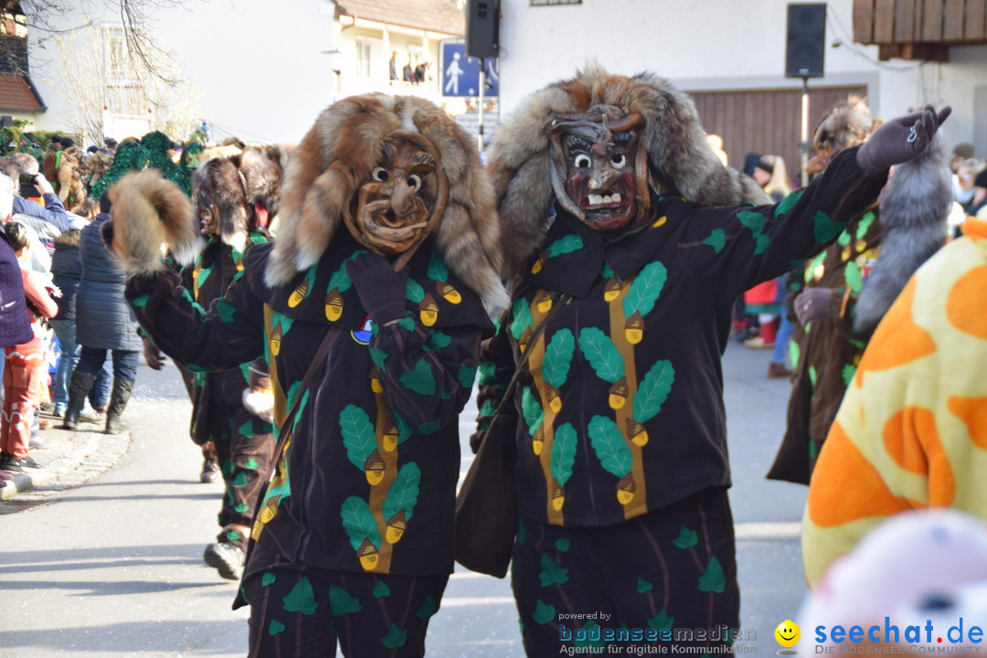 Grosser Narrensprung: Langenargen am Bodensee, 19.01.2020