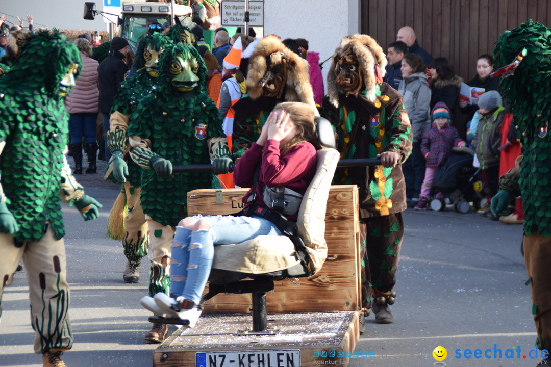 Grosser Narrensprung: Langenargen am Bodensee, 19.01.2020