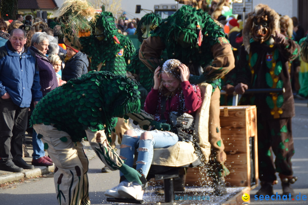 Grosser Narrensprung: Langenargen am Bodensee, 19.01.2020