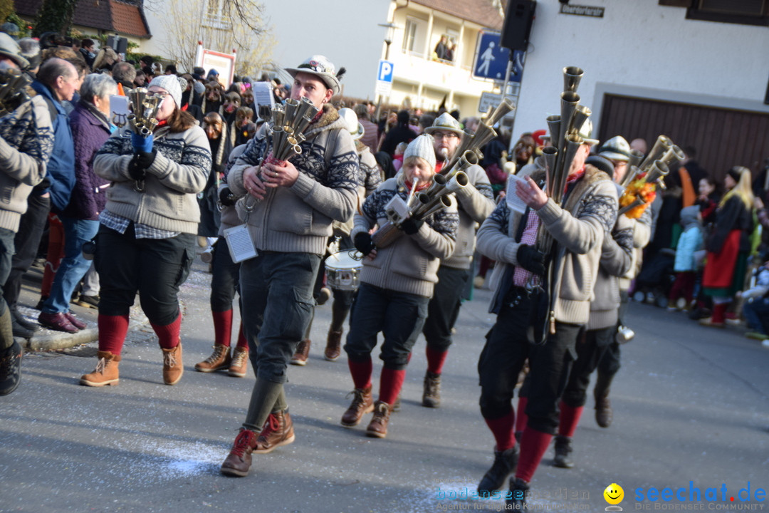 Grosser Narrensprung: Langenargen am Bodensee, 19.01.2020