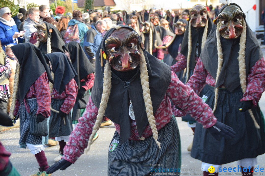 Grosser Narrensprung: Langenargen am Bodensee, 19.01.2020