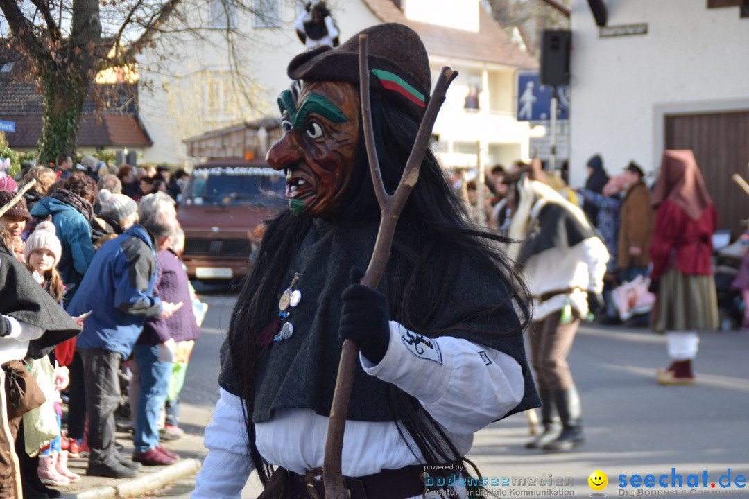 Grosser Narrensprung: Langenargen am Bodensee, 19.01.2020