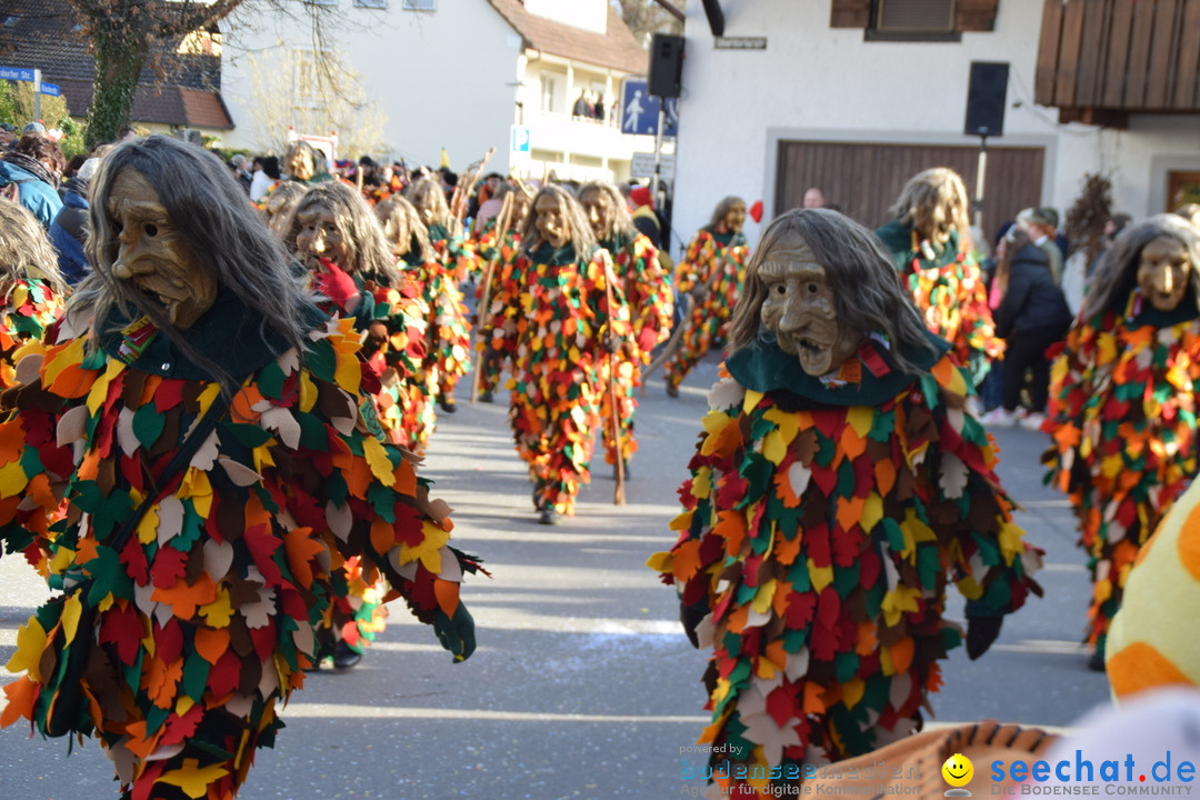 Grosser Narrensprung: Langenargen am Bodensee, 19.01.2020