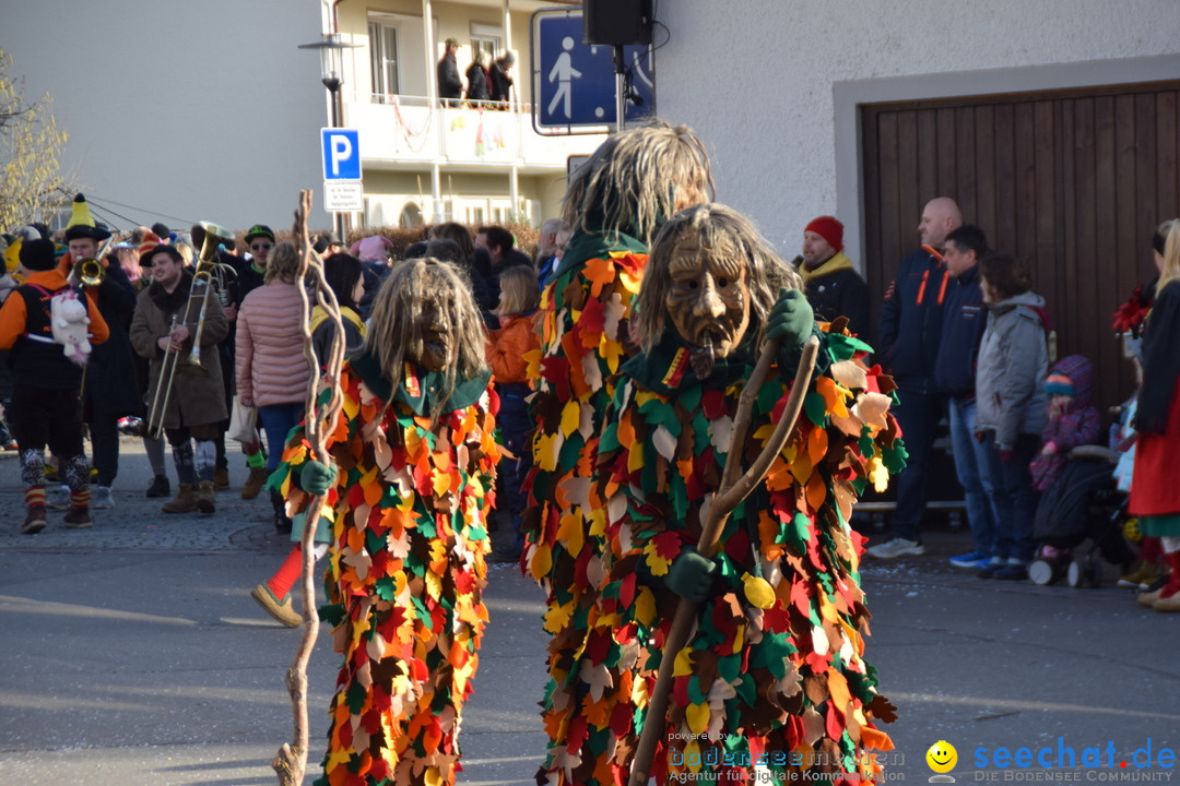 Grosser Narrensprung: Langenargen am Bodensee, 19.01.2020