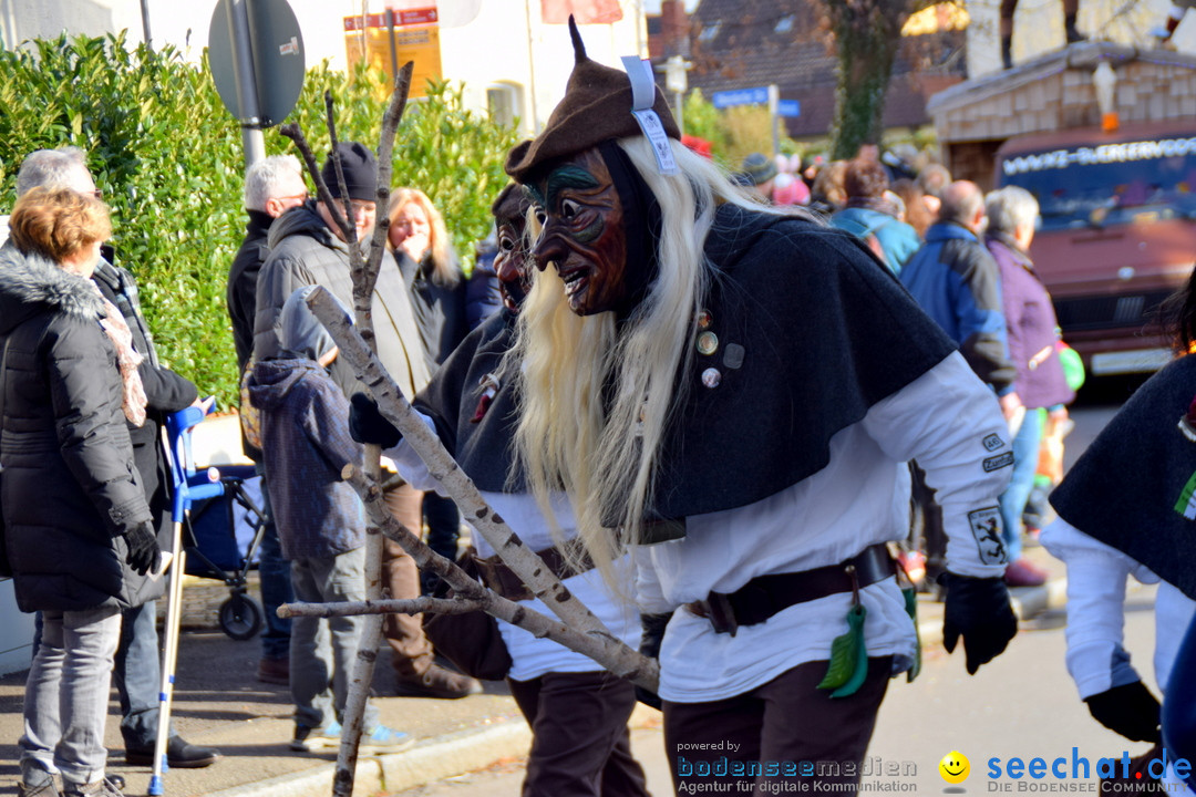 Grosser Narrensprung: Langenargen am Bodensee, 19.01.2020