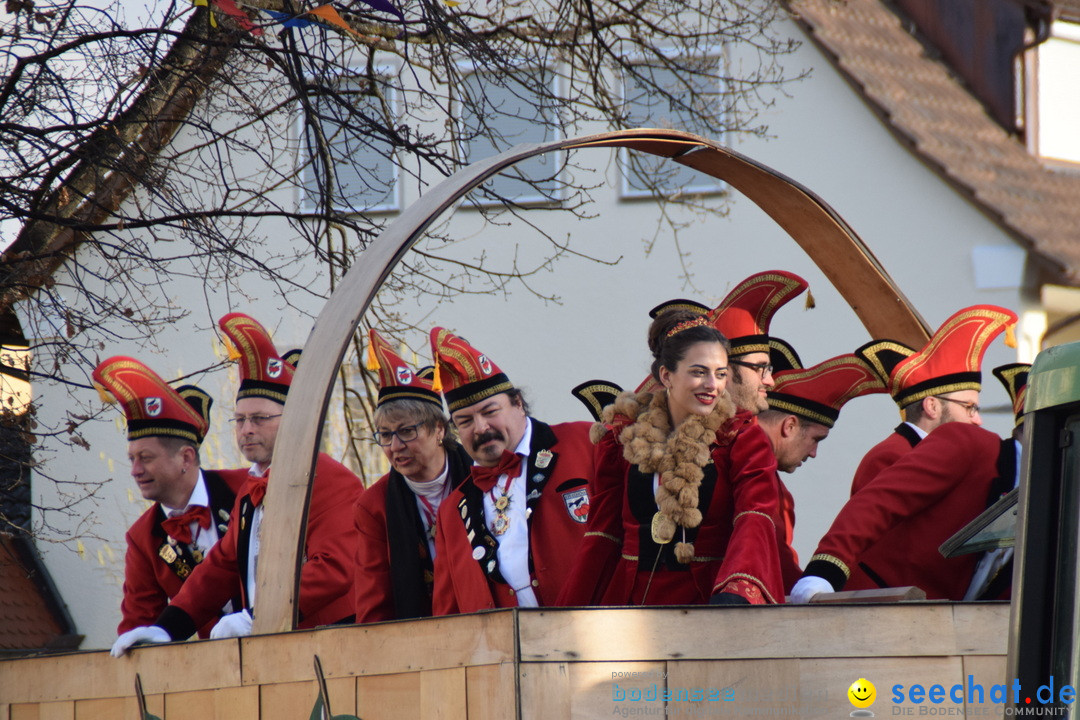 Grosser Narrensprung: Langenargen am Bodensee, 19.01.2020