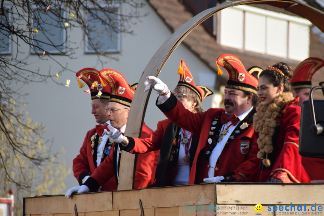 Grosser Narrensprung: Langenargen am Bodensee, 19.01.2020