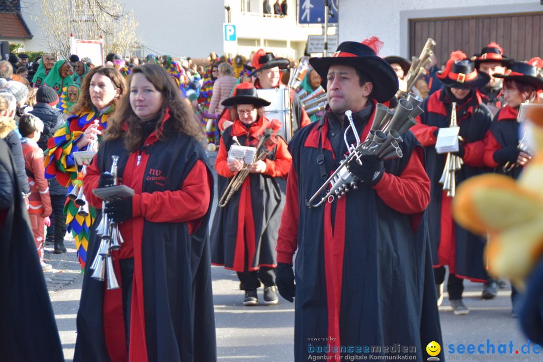 Grosser Narrensprung: Langenargen am Bodensee, 19.01.2020