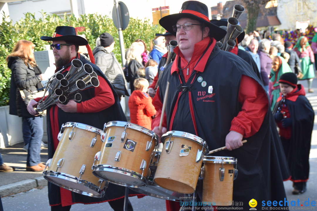 Grosser Narrensprung: Langenargen am Bodensee, 19.01.2020