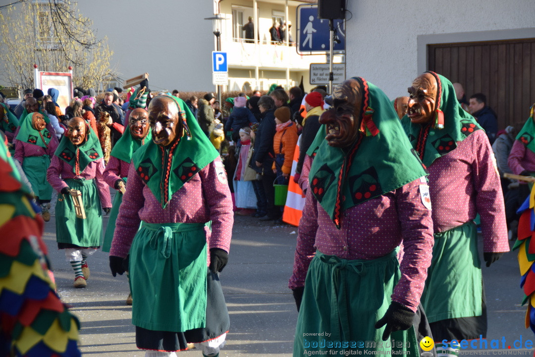 Grosser Narrensprung: Langenargen am Bodensee, 19.01.2020