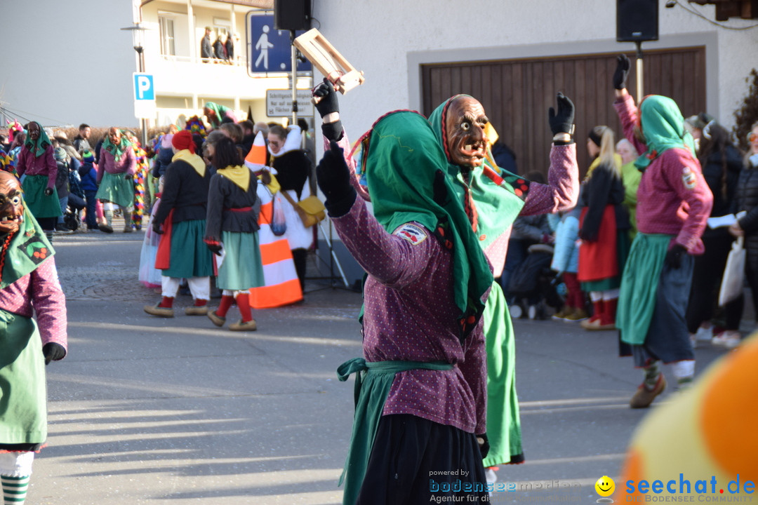 Grosser Narrensprung: Langenargen am Bodensee, 19.01.2020