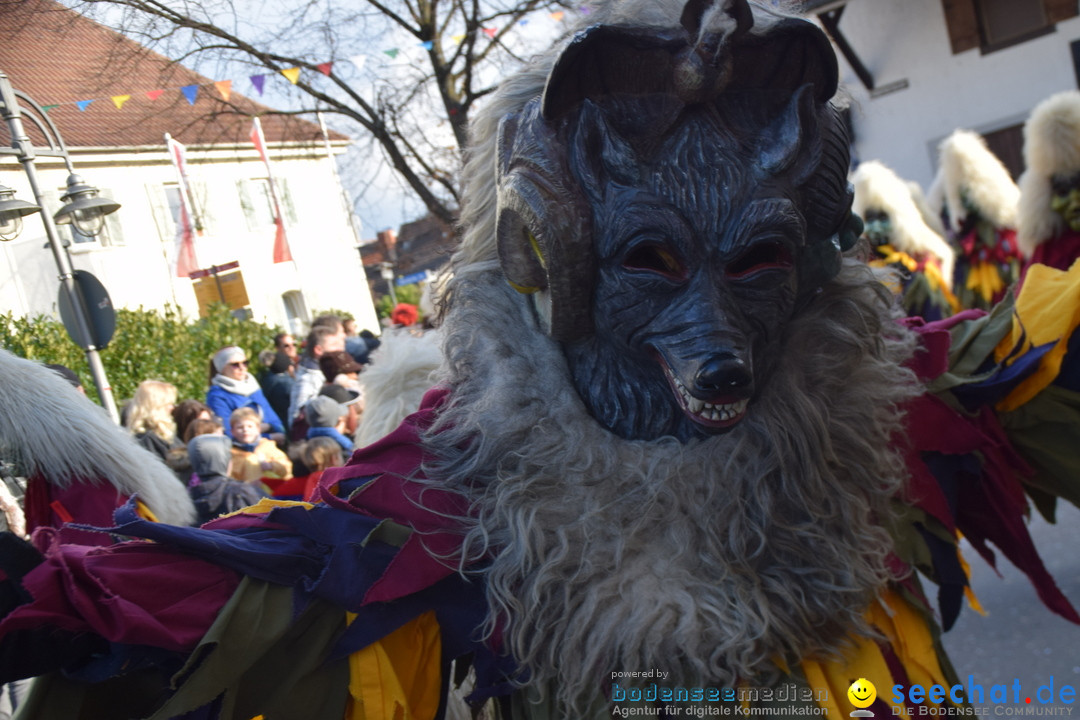 Grosser Narrensprung: Langenargen am Bodensee, 19.01.2020